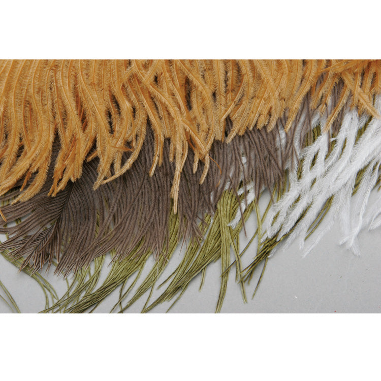 Ostrich Plumes