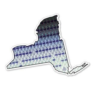 Casey Underwood NY State Decals