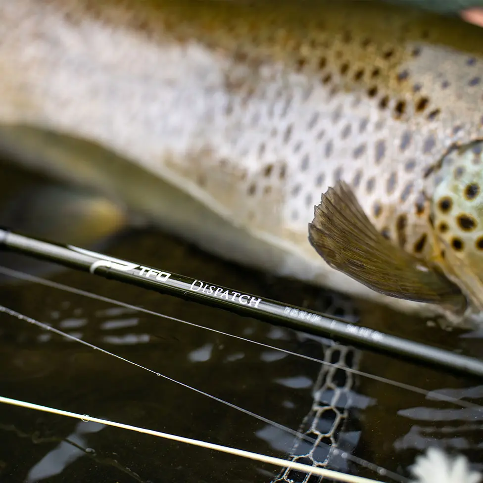TFO Dispatch Fly Rod