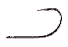 Owner Aki Hooks