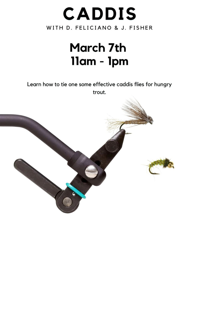 Saturday Fly Tying Clinic - Caddis Patterns