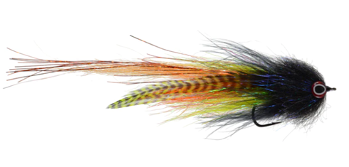 Rainy's Jurassic Pork