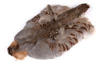 Hungarian Partridge Whole Skin - secondary view