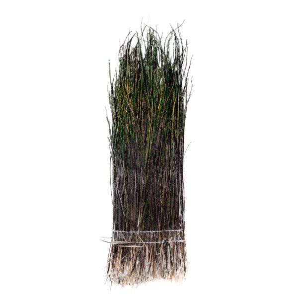 Peacock Herl Strung Natural