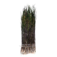 Peacock Herl Strung Natural - secondary view