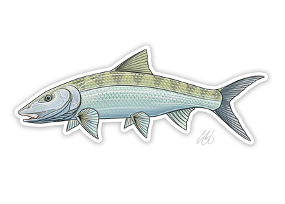 Casey Underwood Fish Decals - Saltwater
