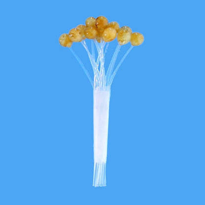 EP UV-X Crustacean Eyes