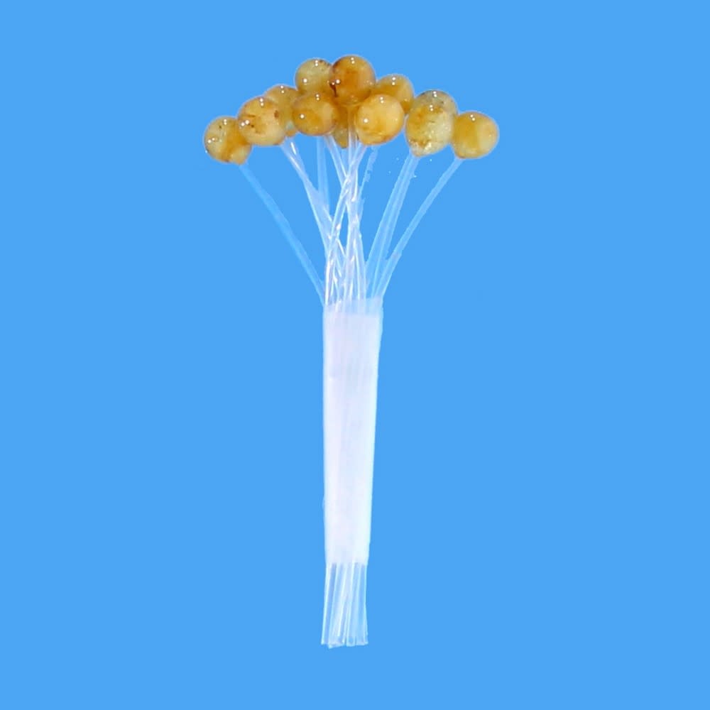 EP UV-X Crustacean Eyes