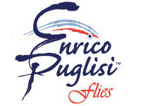 Enrico Puglisi
