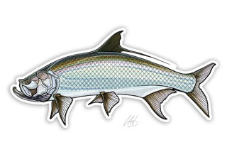 Casey Underwood Fish Decals - Saltwater