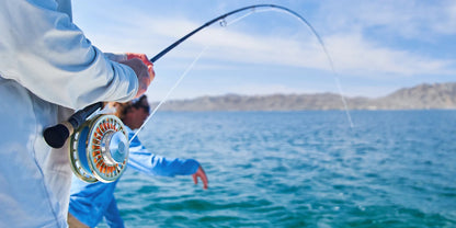 Sage Thermo Series Reel