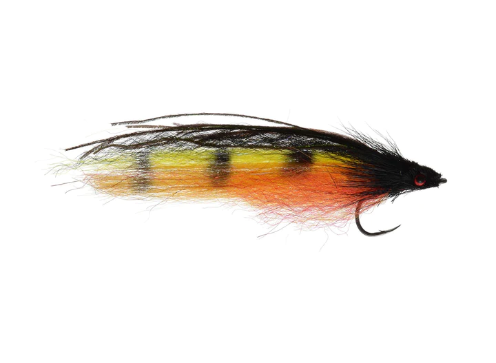 TK's Doctor Davis Deceiver