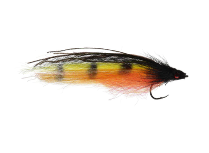 TK's Doctor Davis Deceiver