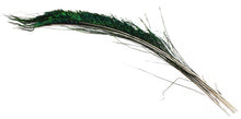 Peacock Swords