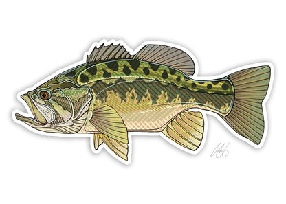 Casey Underwood Fish Decals - Freshwater