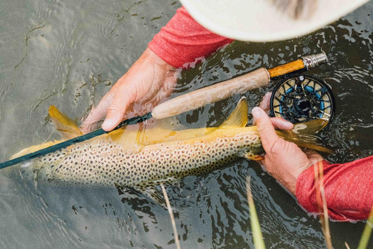 Winston Freshwater Air 2