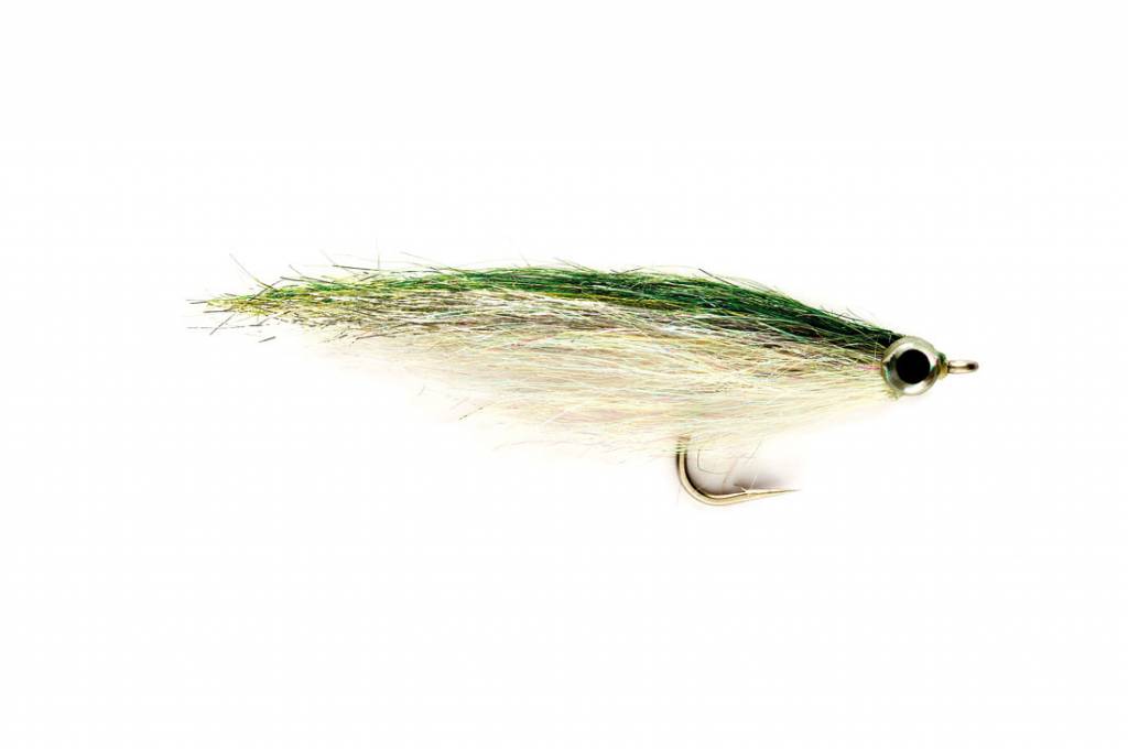 Los Roques Minnow