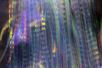 Lateral Scale - secondary view