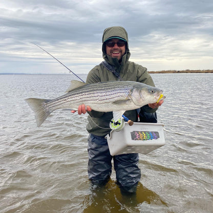 Nation FC 6-Piece Travel Rods