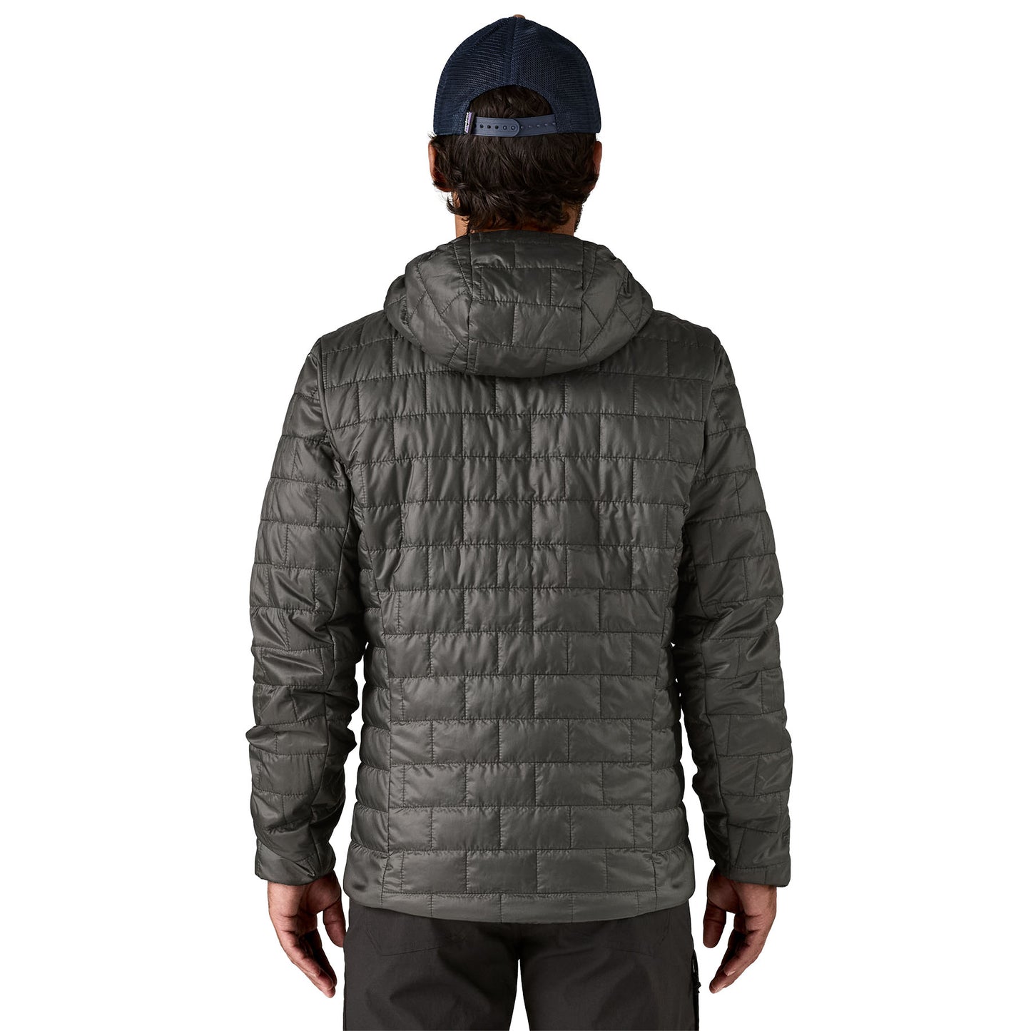 Patagonia Nano Puff Fitz Roy Trout Hoody