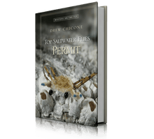 Top Saltwater Flies Permit by Drew Chicone