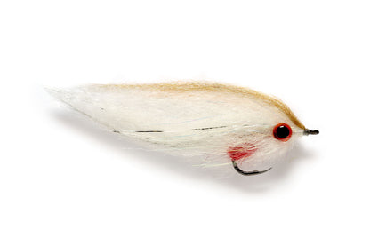 Dougie's Roach