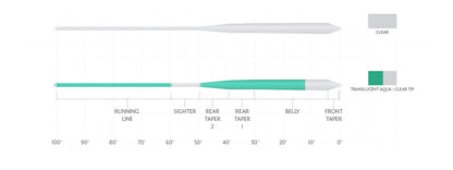 S24 Scientific Anglers Magnitude Smooth Infinity Salt Clear Tip