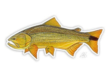 Casey Underwood Fish Decals - Freshwater