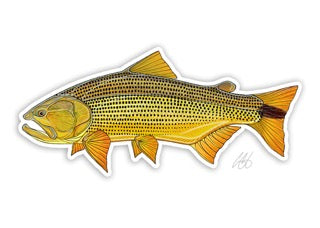 Casey Underwood Fish Decals - Freshwater