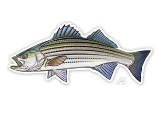 Casey Underwood Fish Decals - Saltwater