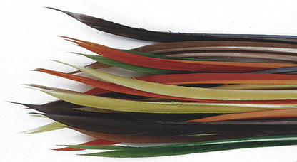 Turkey Biot Quills