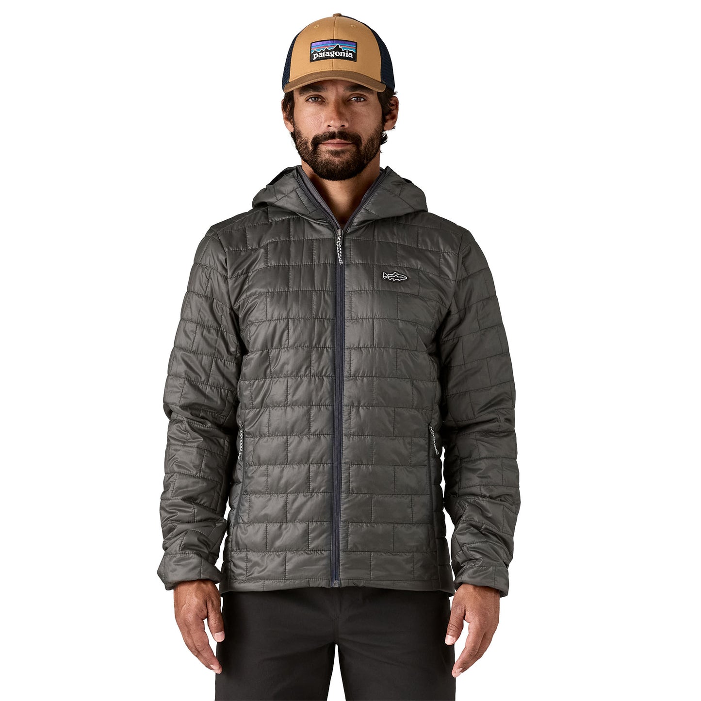 Patagonia Nano Puff Fitz Roy Trout Hoody