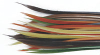 Turkey Biot Quills - secondary view