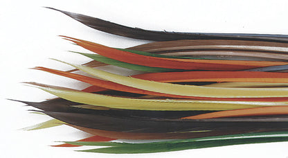 Turkey Biot Quills