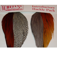 Whiting Introductory Hackle Pack - secondary view