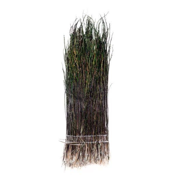 Peacock Herl Strung Natural