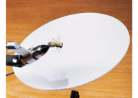 Peak Profile Plate - secondary view