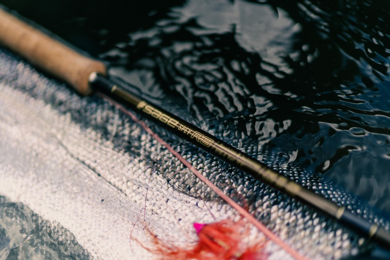 S24 Sage R8 Switch Rod