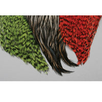 Whiting American Rooster Cape - secondary view